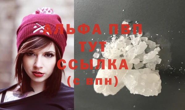 сатива Богородицк