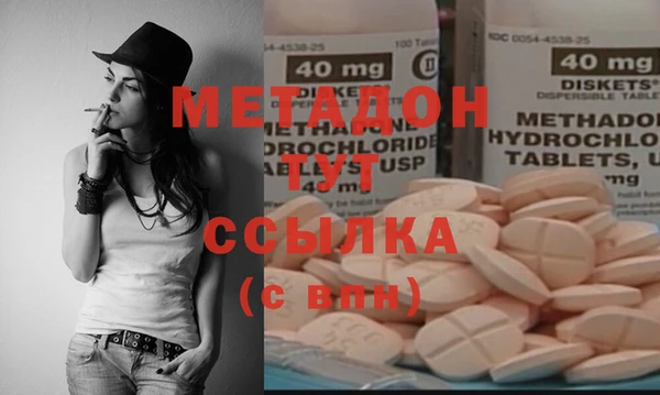 прущие грибы Бородино
