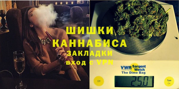 ГАЛЛЮЦИНОГЕННЫЕ ГРИБЫ Струнино