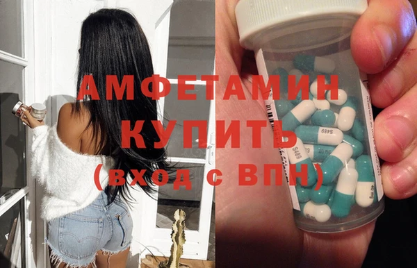 прущие грибы Бородино