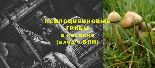 не бодяженный Богородск