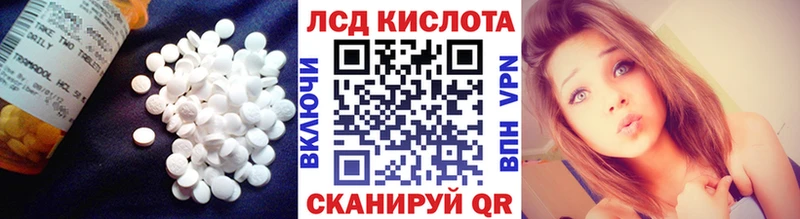 Лсд 25 экстази кислота Свободный