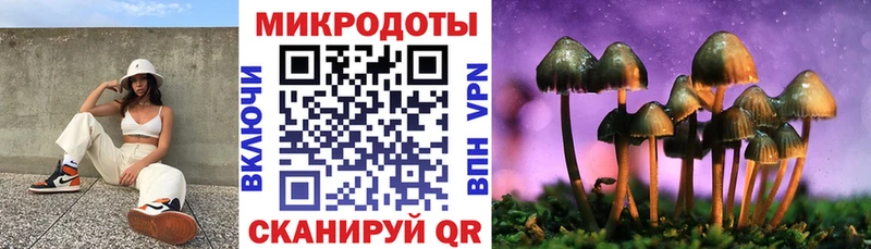Псилоцибиновые грибы Psilocybe  Свободный 