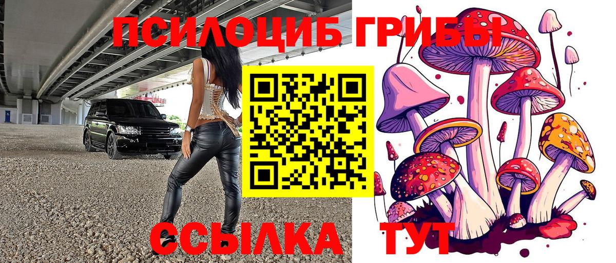Свободный  Галлюциногенные грибы ЛСД  Вход с VPN  Галлюциногенные грибы Cubensis 